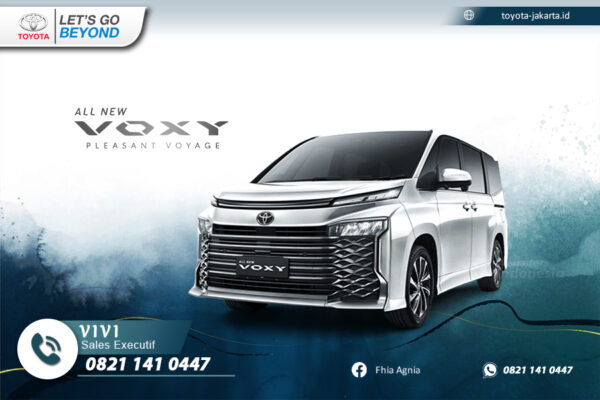 All New Voxy