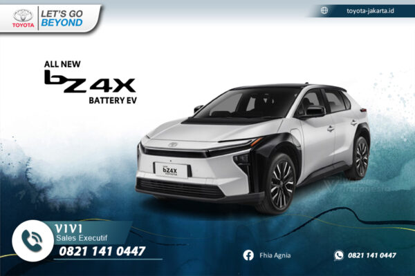 ALL NEW BZ4X